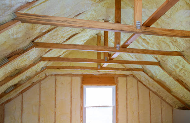 Best Insulation Installation Services in New Smyrna Beach, FL