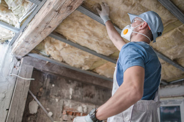 Best Types of Insulation in New Smyrna Beach, FL